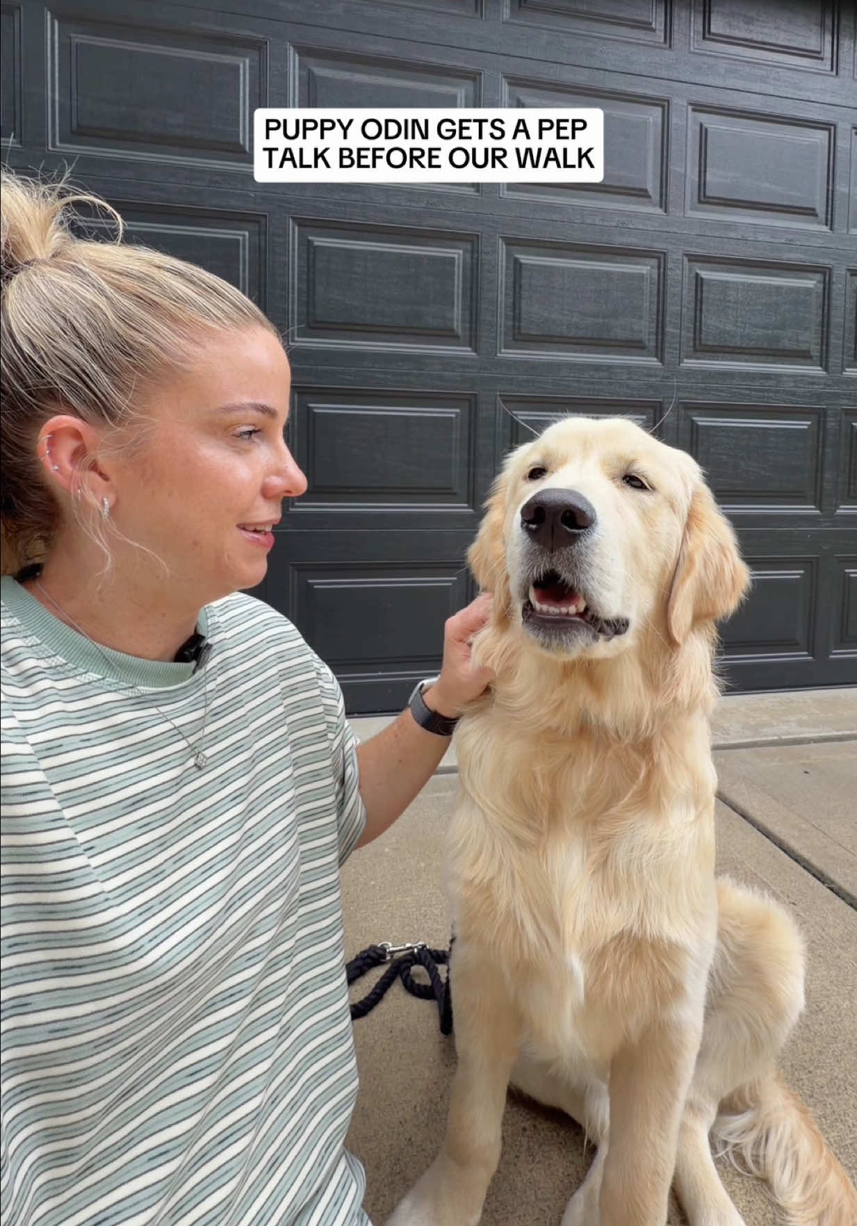 @agoldendogmom