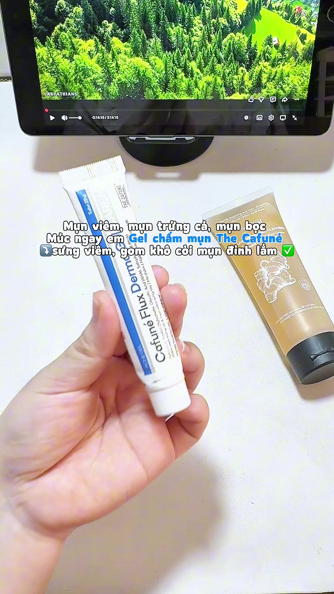 @(。・ω・𝓫𝓲𝓬𝓱𝓷𝓲𝓮𝓷・ω・。)