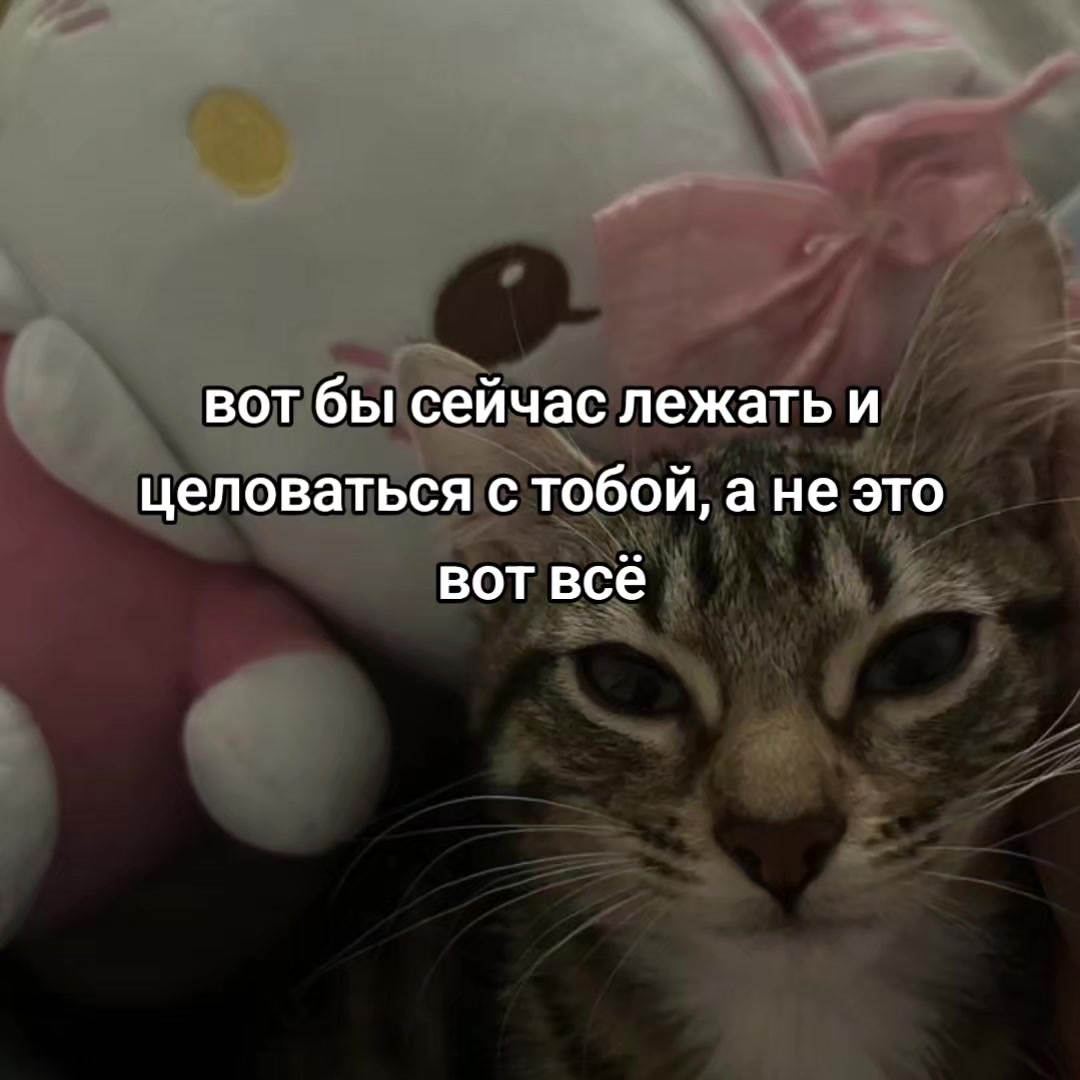 @тгк:aisurum