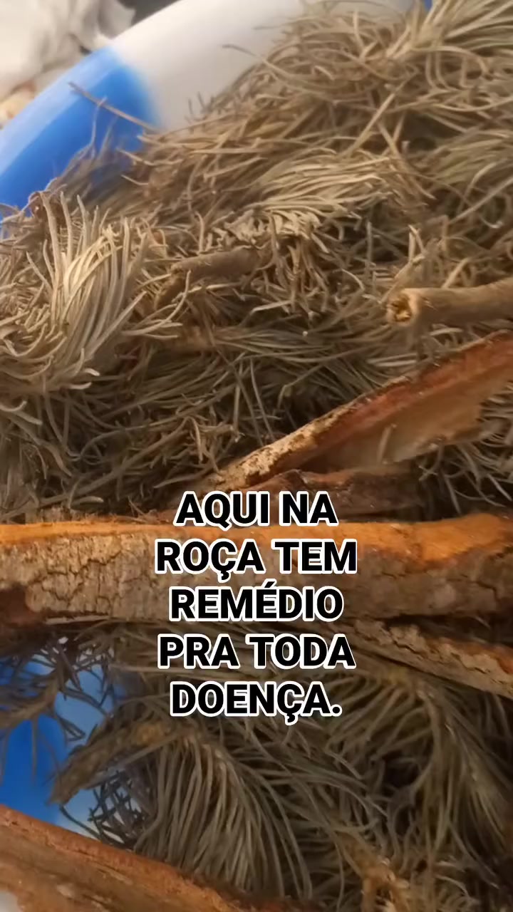 @RICARDO SILVA(GOIANO) 5151