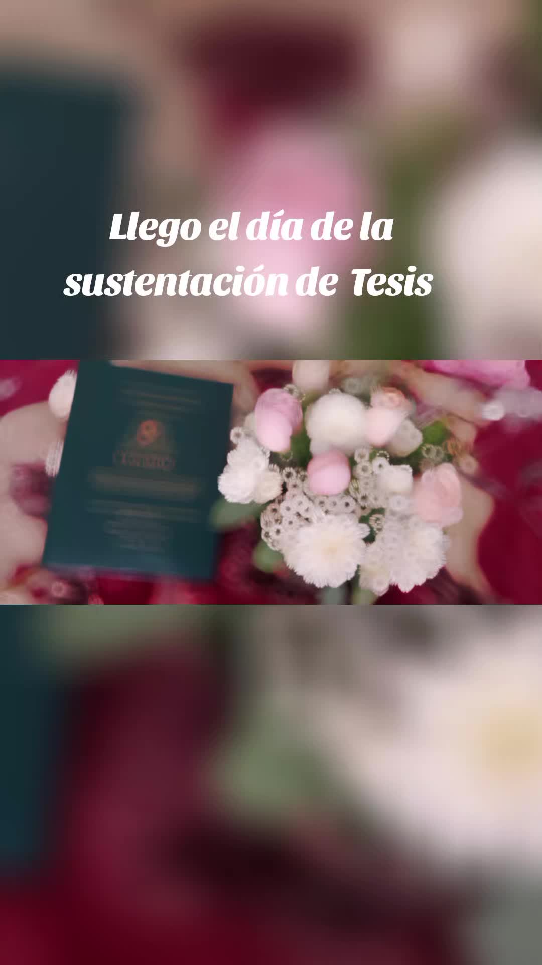@Cinthia ZebF🍀