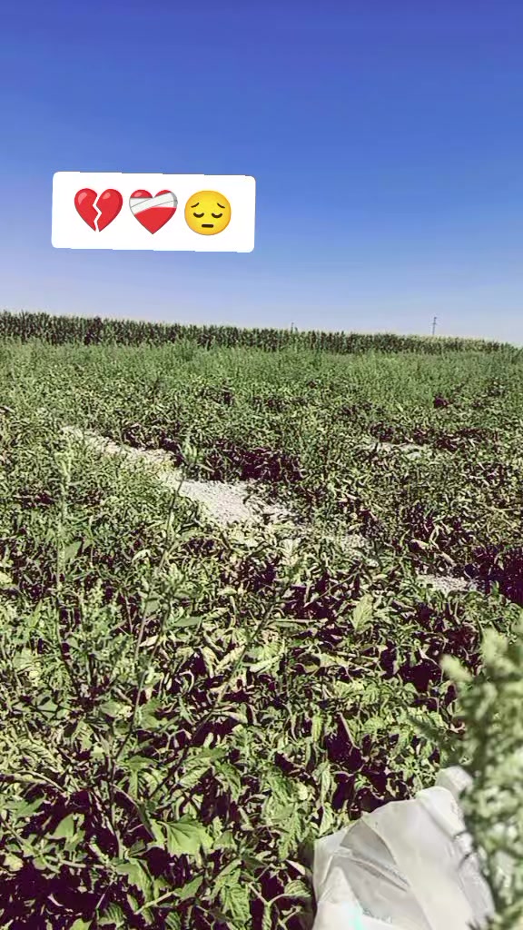 @🥀HAYALDİBİTTİ🥀