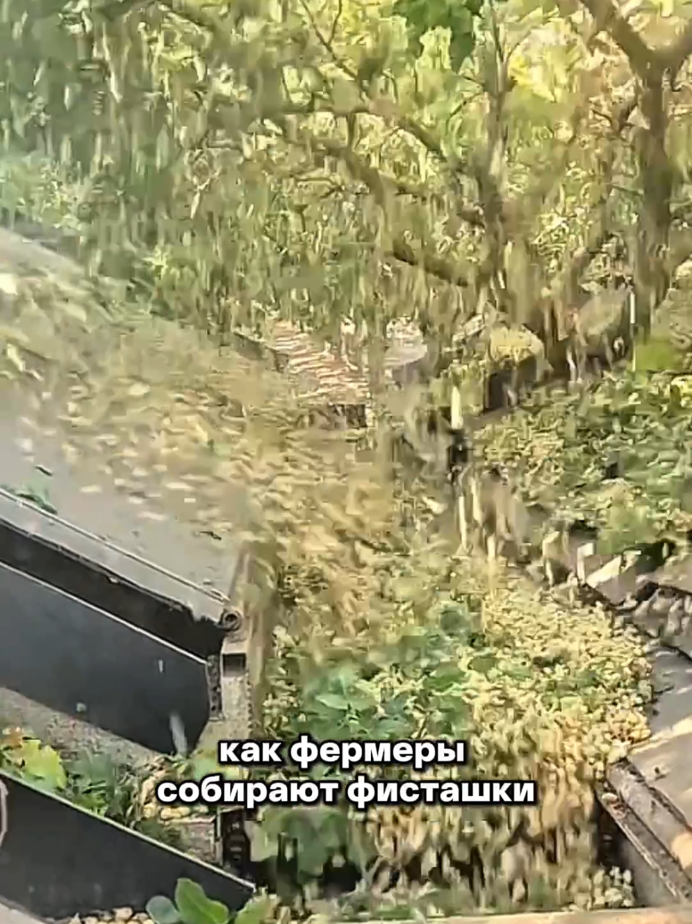 @Igor Ganea