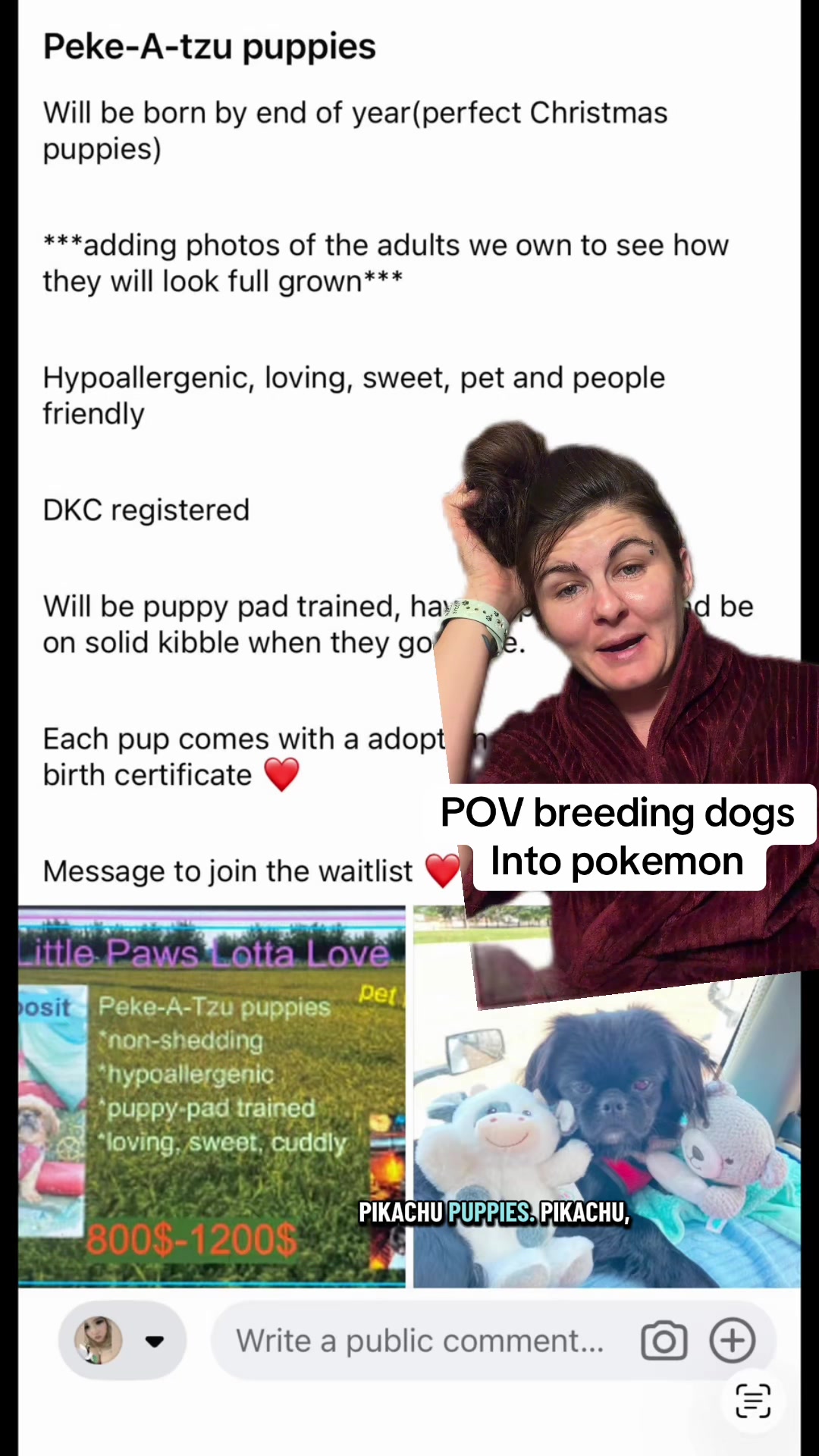 @Jess Shark🐾DOG PACK🐾