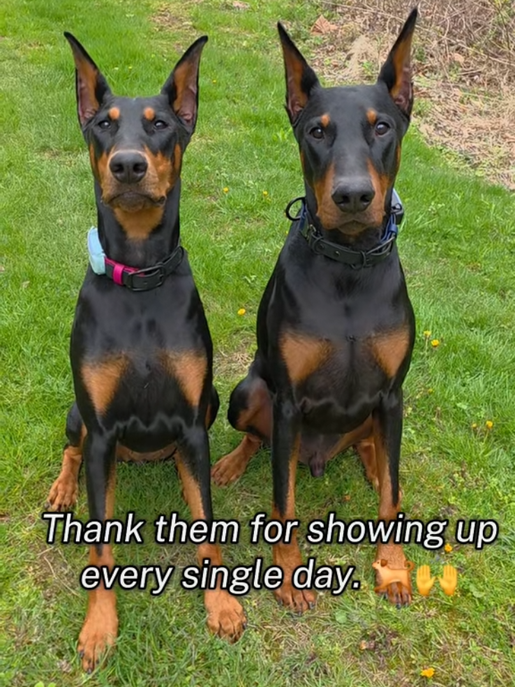 @Dobergoats Cash & Kaia