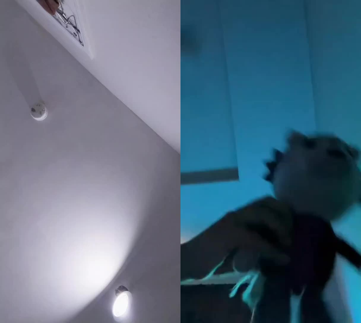 @Kermit The Frog Tiktok