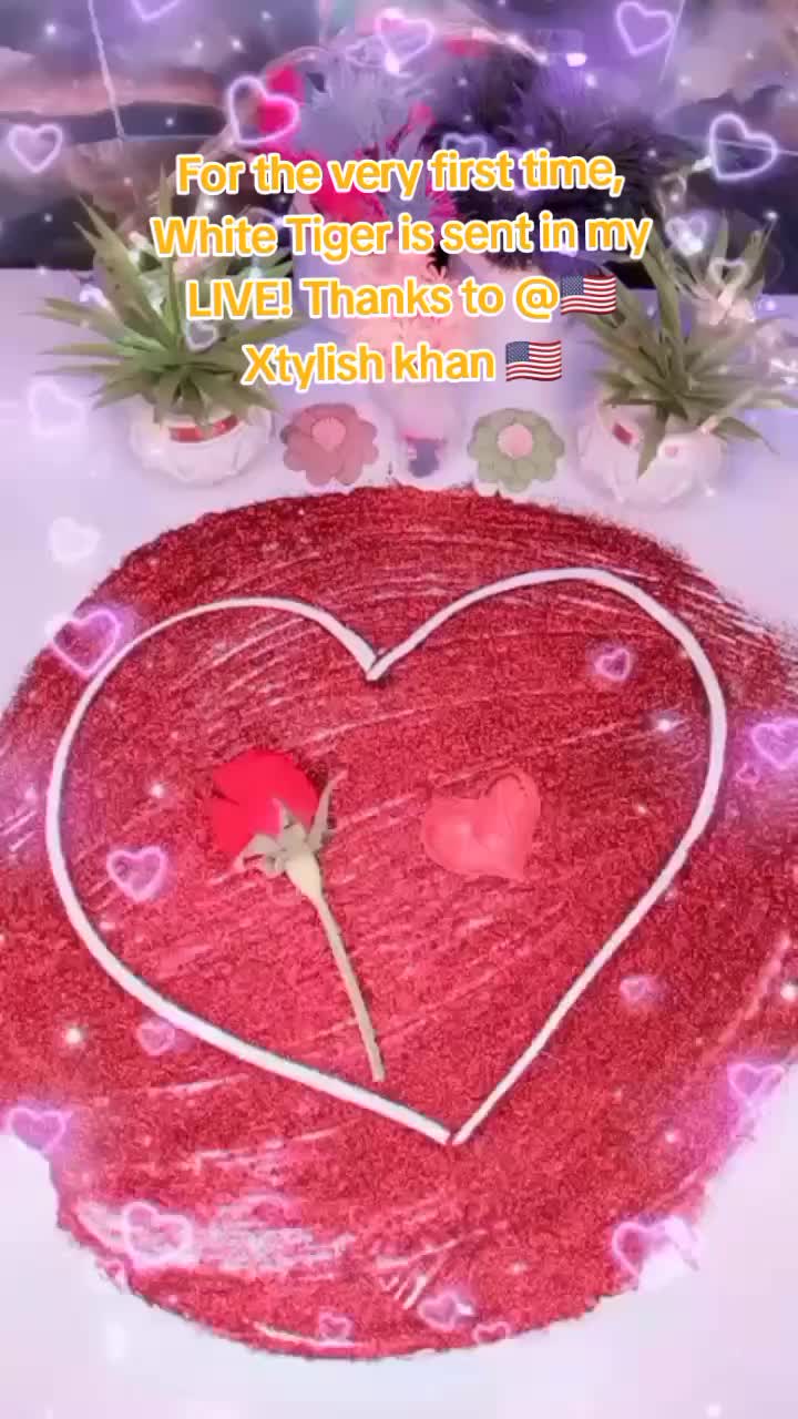 @❤️Alyana Rajput 👑❤️