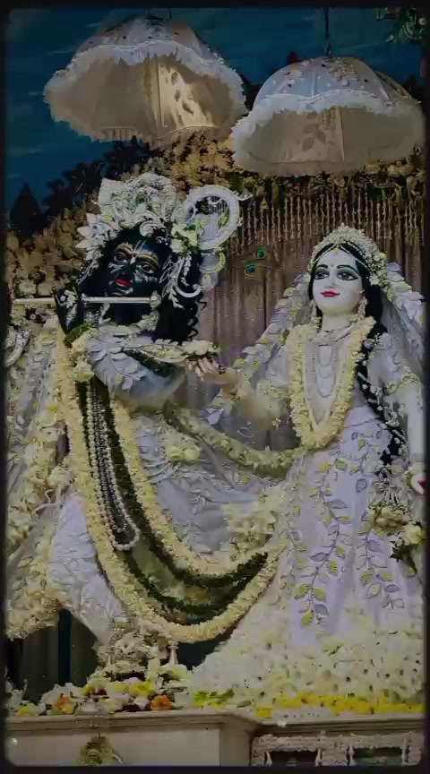@☘️🪷Anamika 🪷☘️
