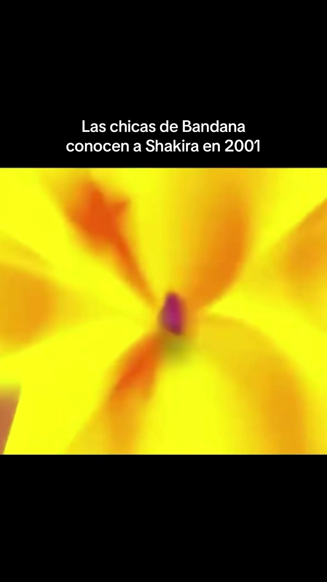 @Jaleene🇩🇴