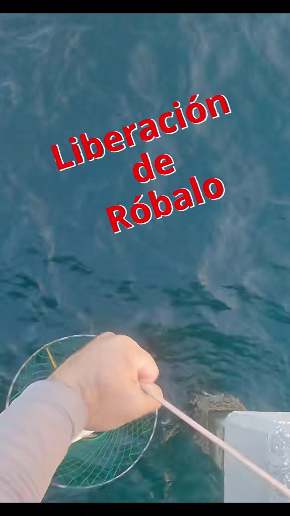 @Raul-Raul