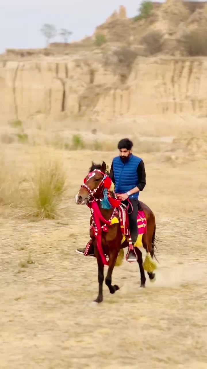 @(अवैस)راجہ اویس 🔥