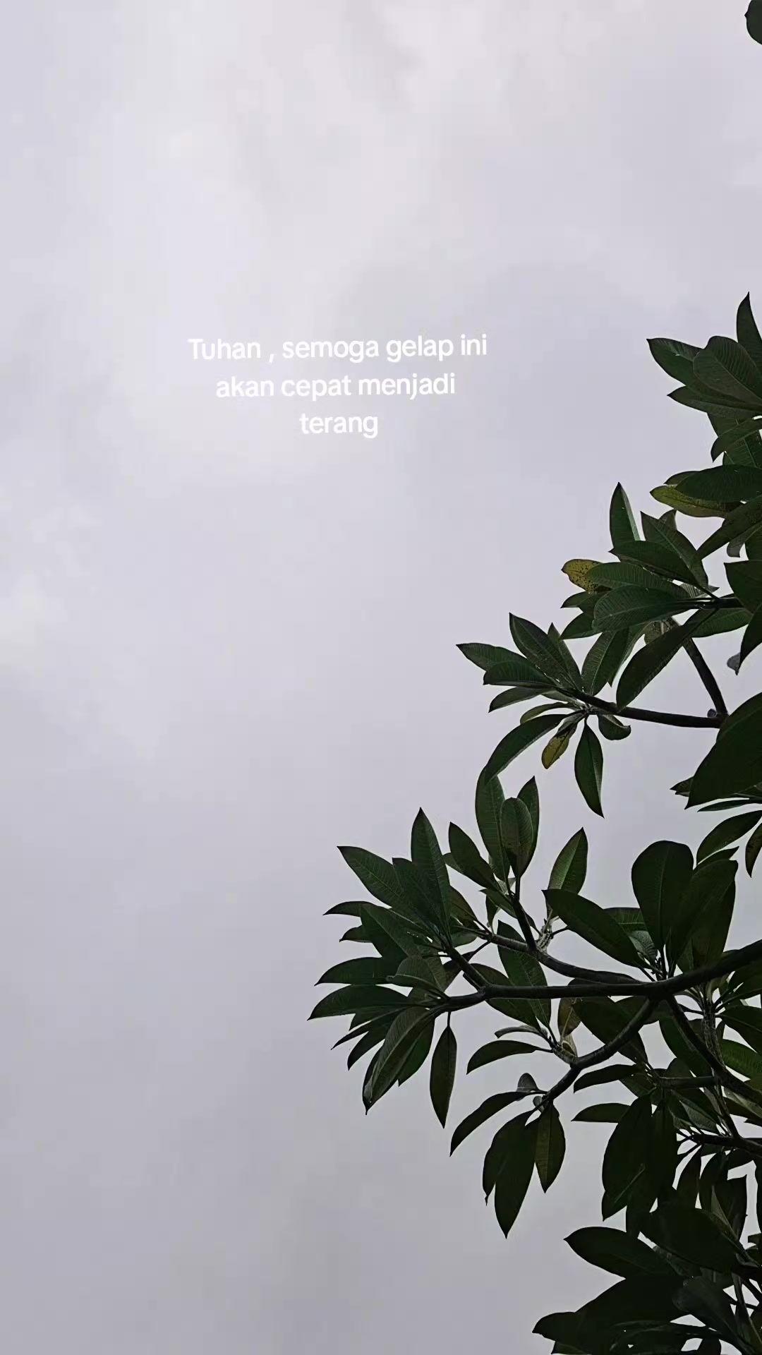 @sewamobil.co