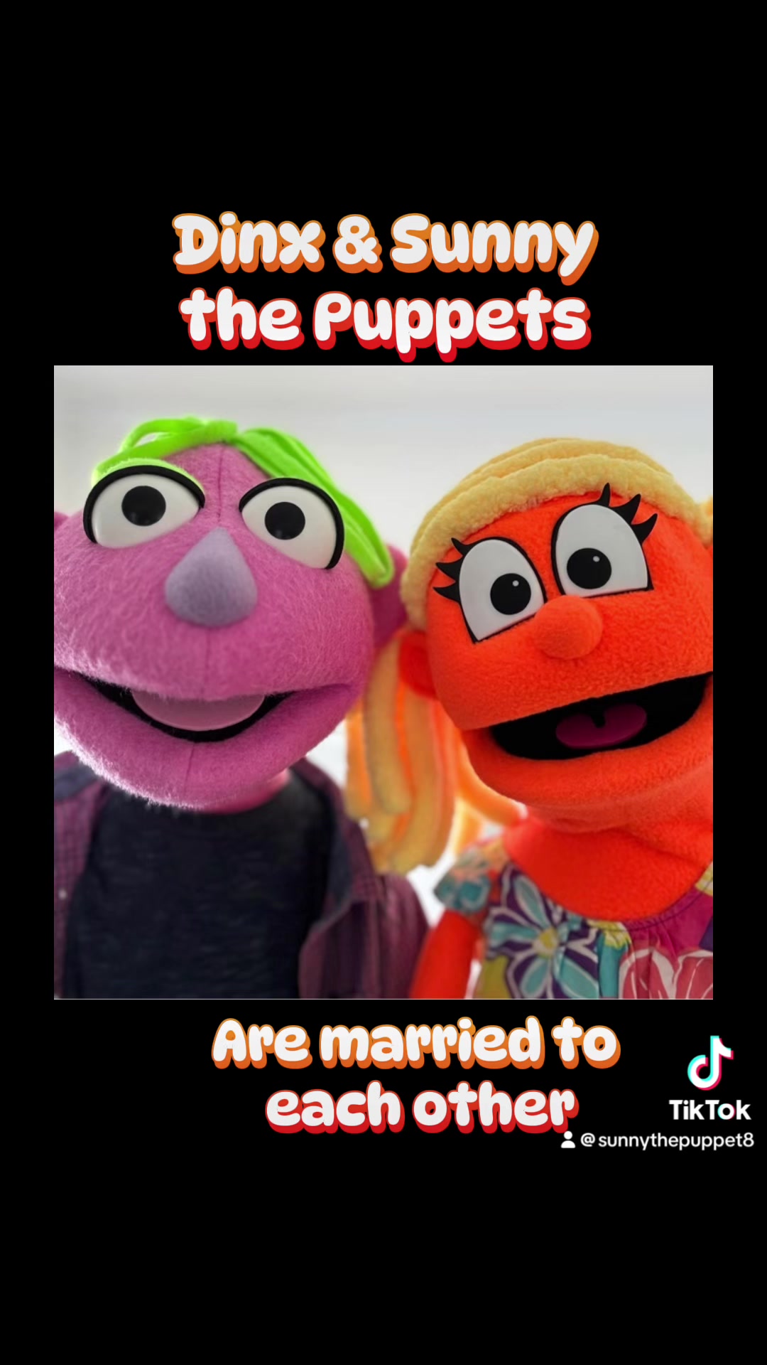 @𝘋𝘪𝘯𝘹 𝘵𝘩𝘦 𝘗𝘶𝘱𝘱𝘦𝘵