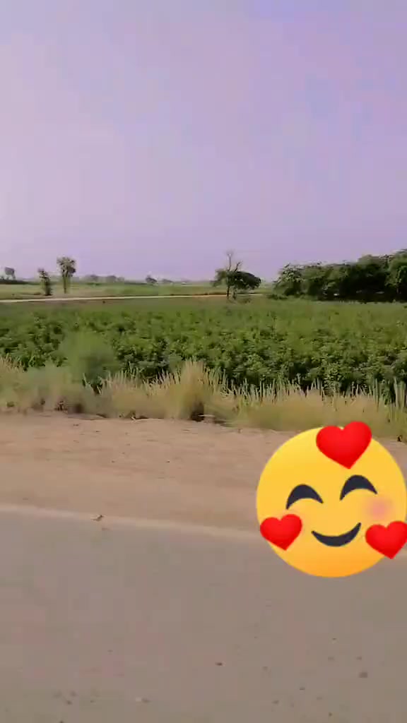 @shahjan lakho