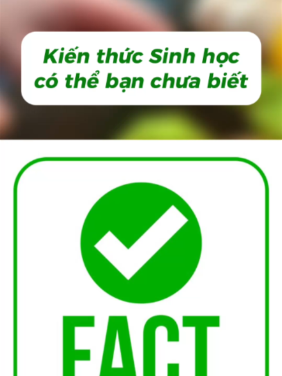 @Kha Khờ Khạo 🥑