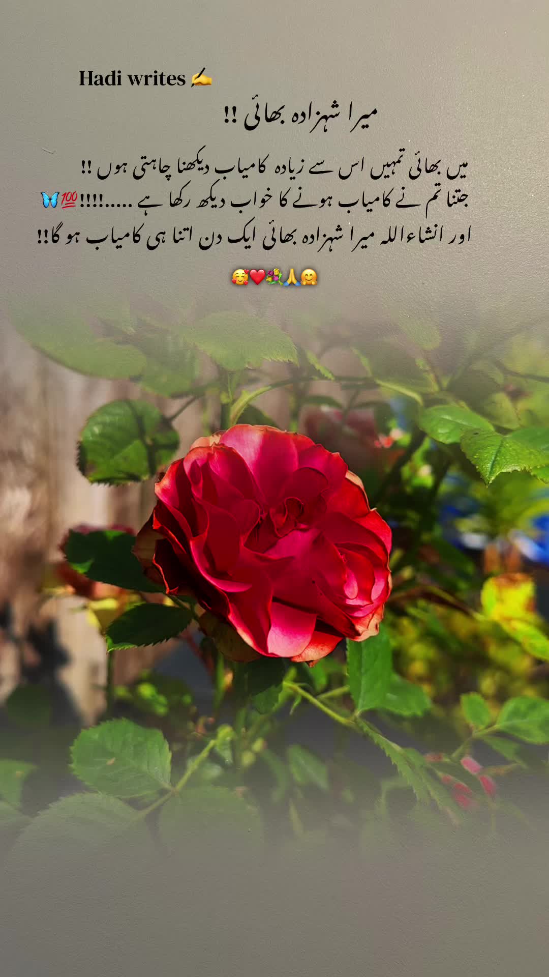 @Bhai Behen Quotes ✍️🥰🙏