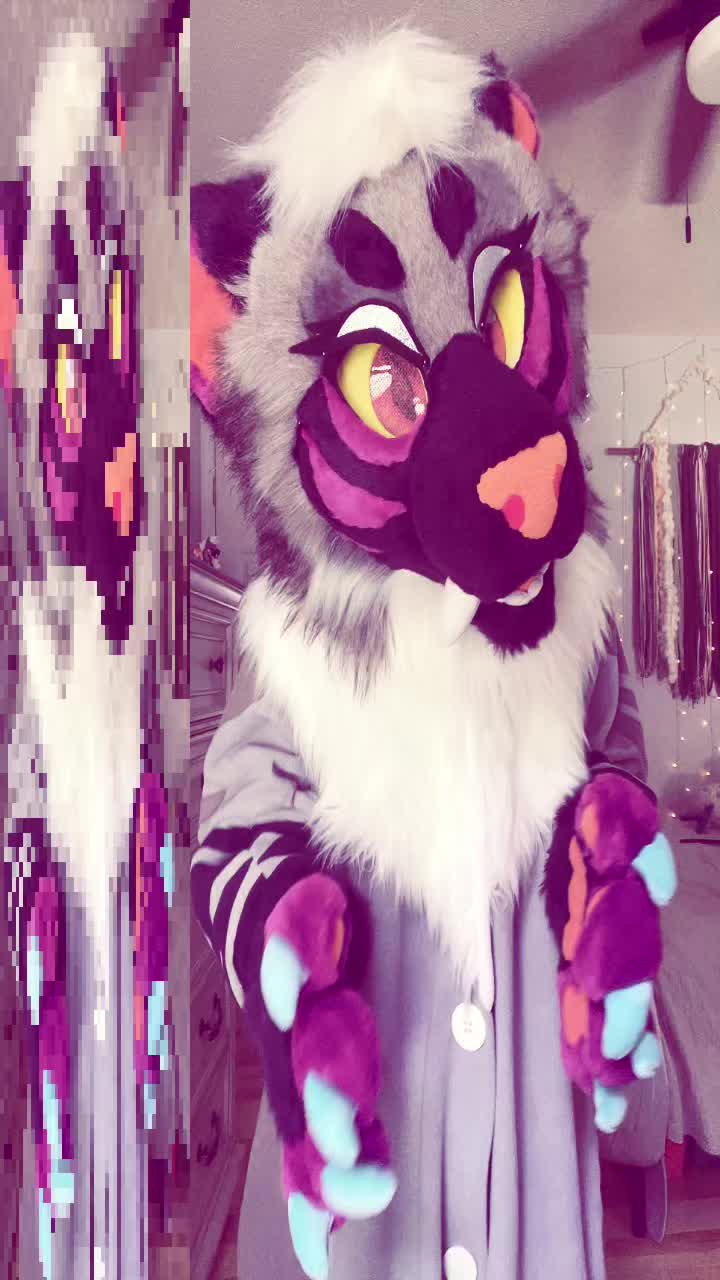 @⟡˙⋆Jazz⋆˙⟡