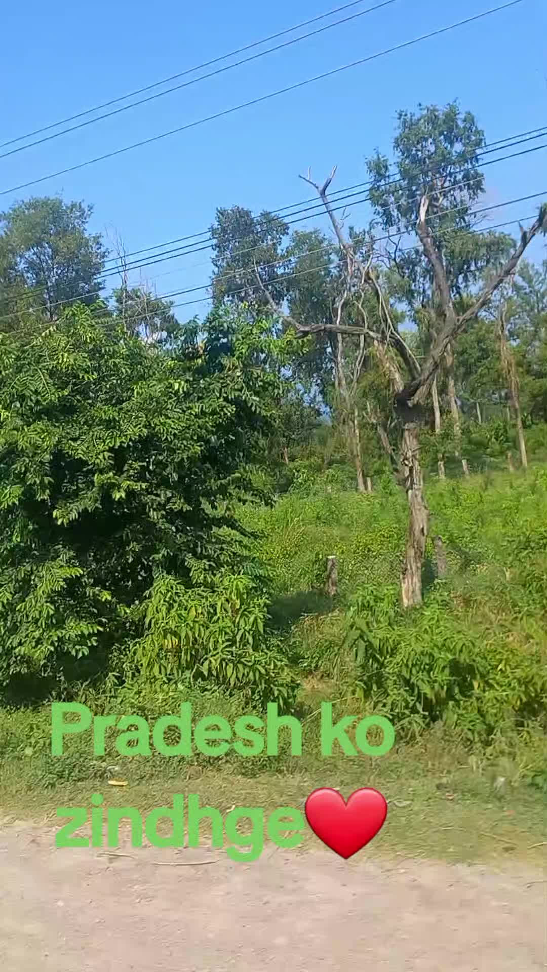 @Padam Pariyar