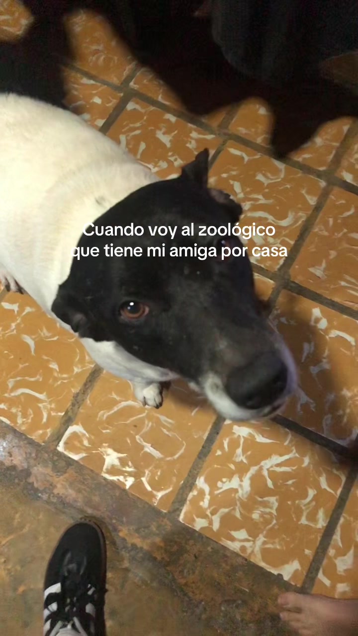 @corneer_
