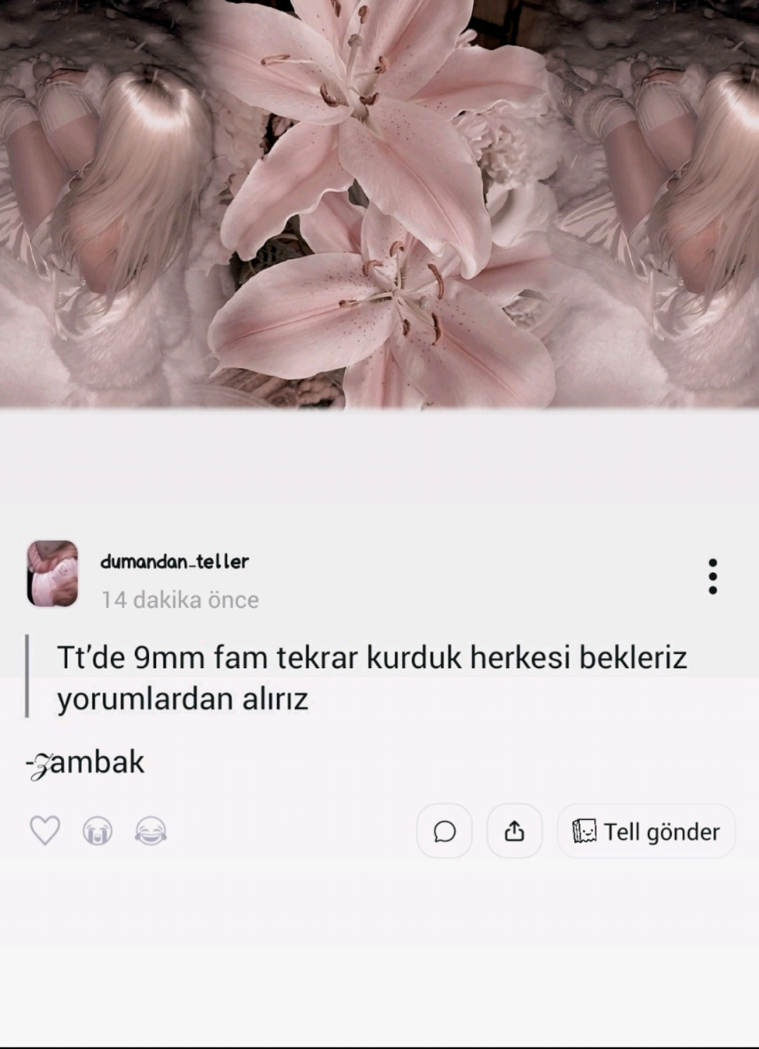@Dumandan 𝒯eller.⋆𝜗𝜚