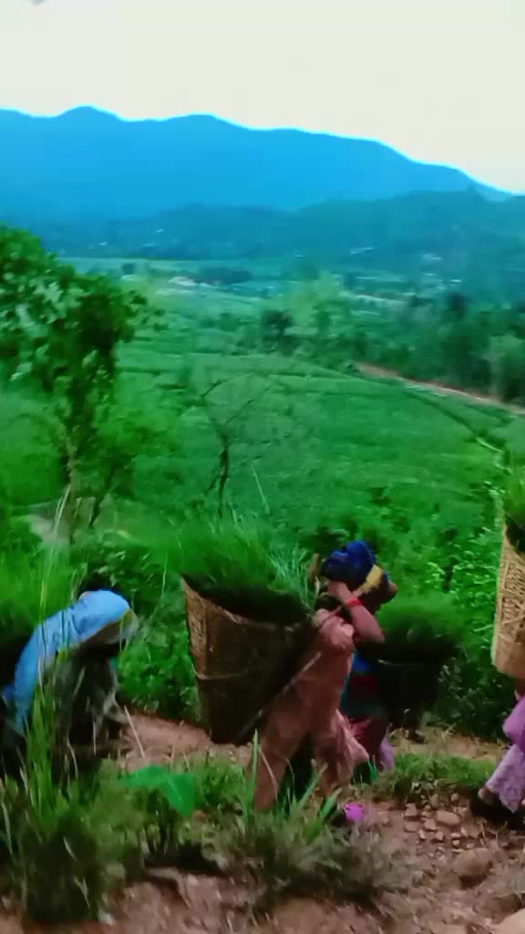 @somathapa02