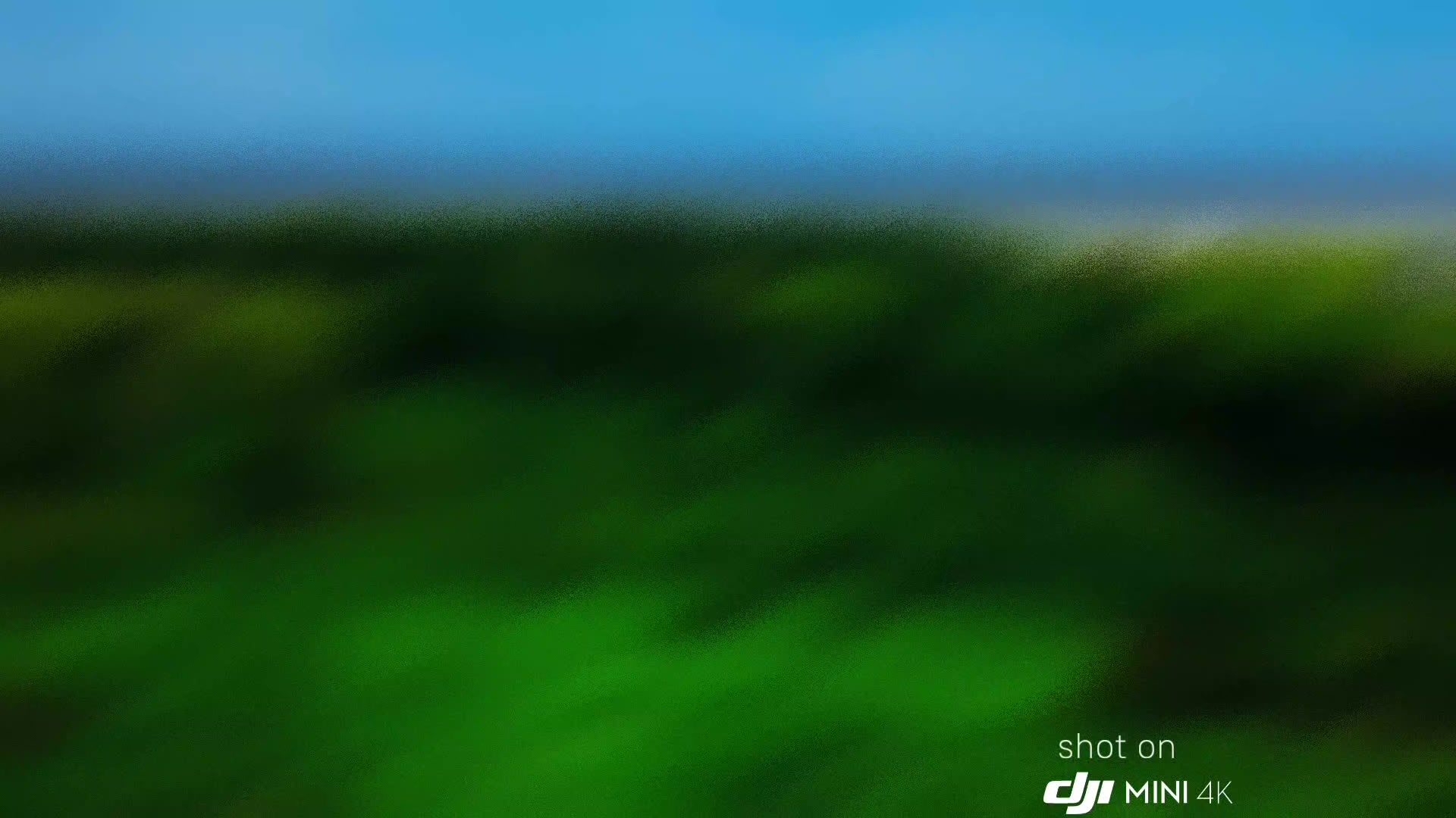 @Nav_𝚒_Gator