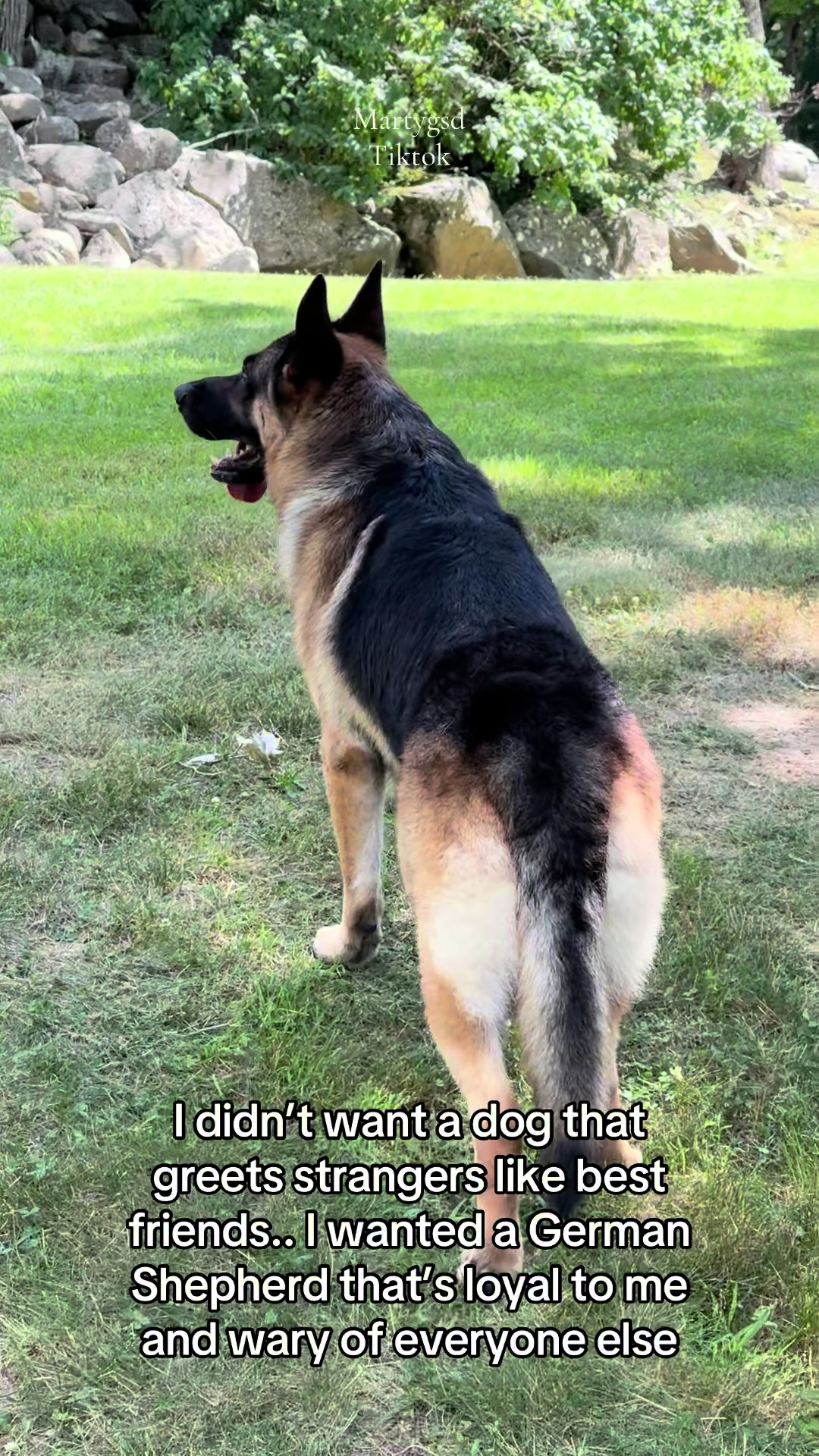 @Martygsd