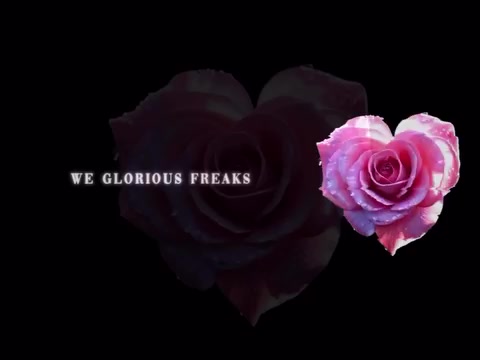 @speed songs | lyrics