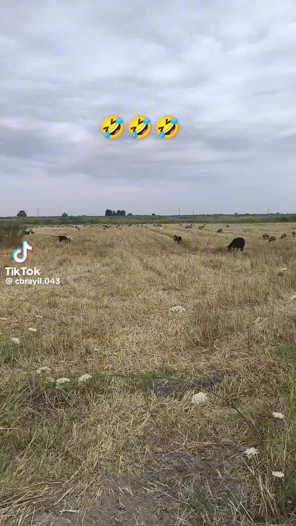@Gùndùz Dùnya