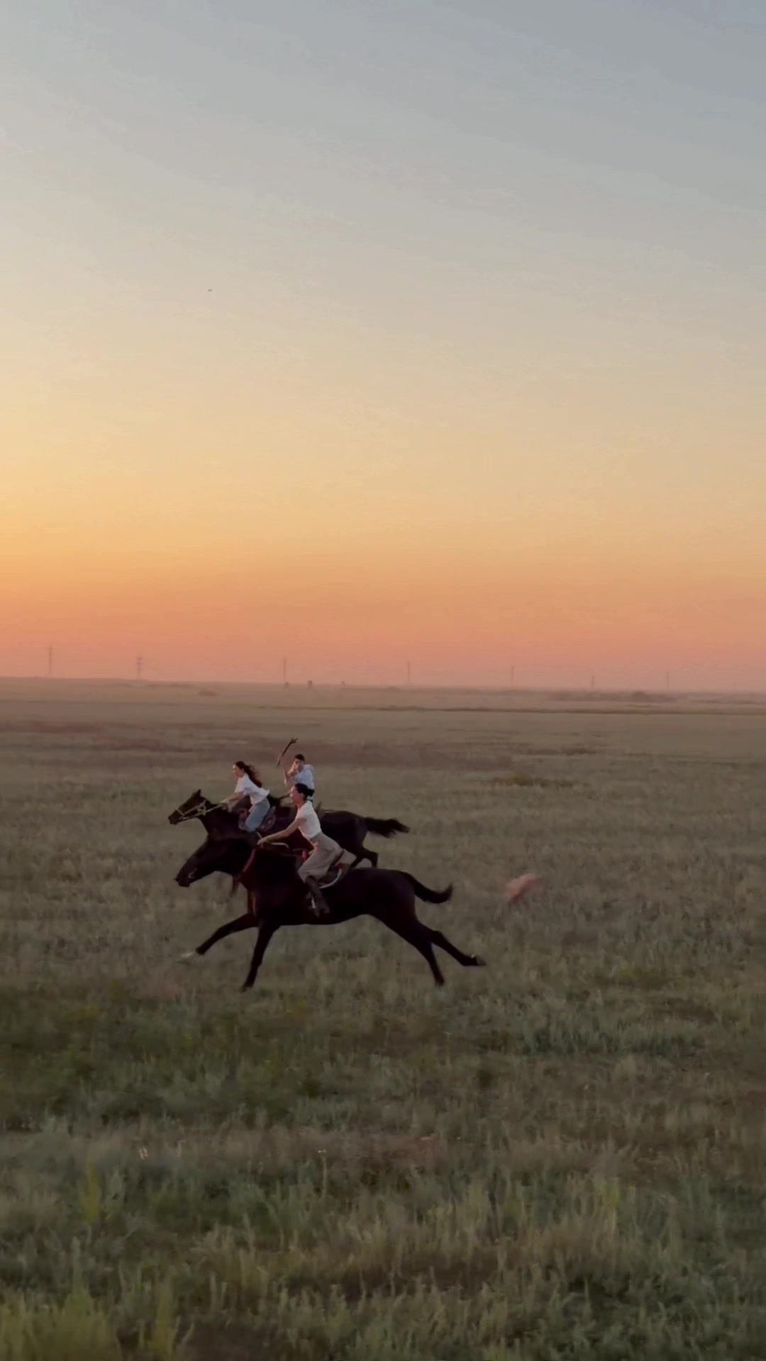 @NAZEKA🐎