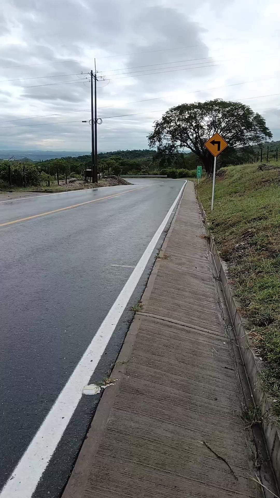 @neiderpulido