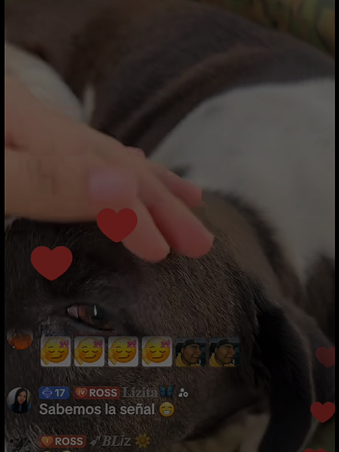 @๐น๐๐๐๐ ๐๐ฅท