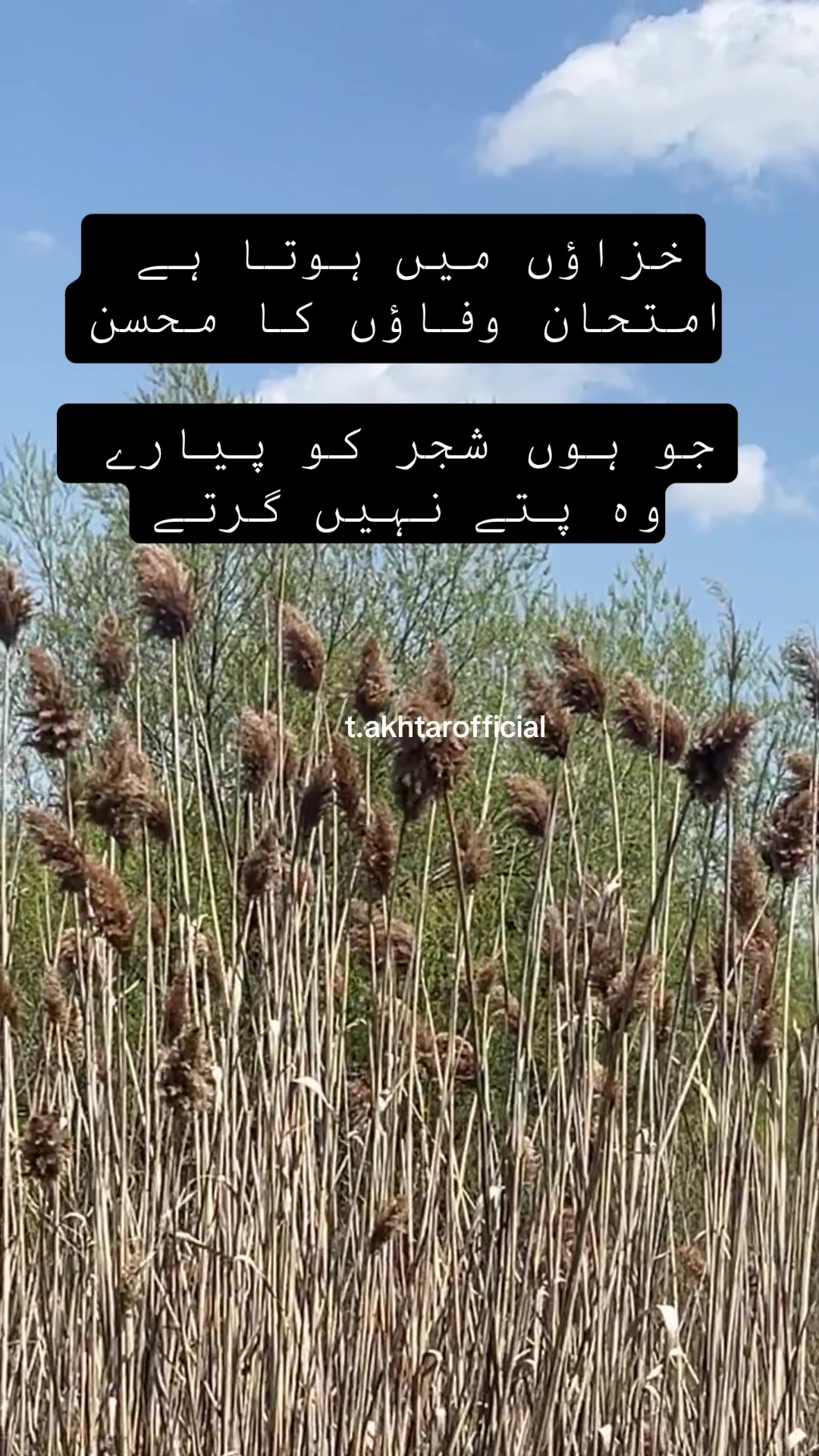 @T.Akhtar Official