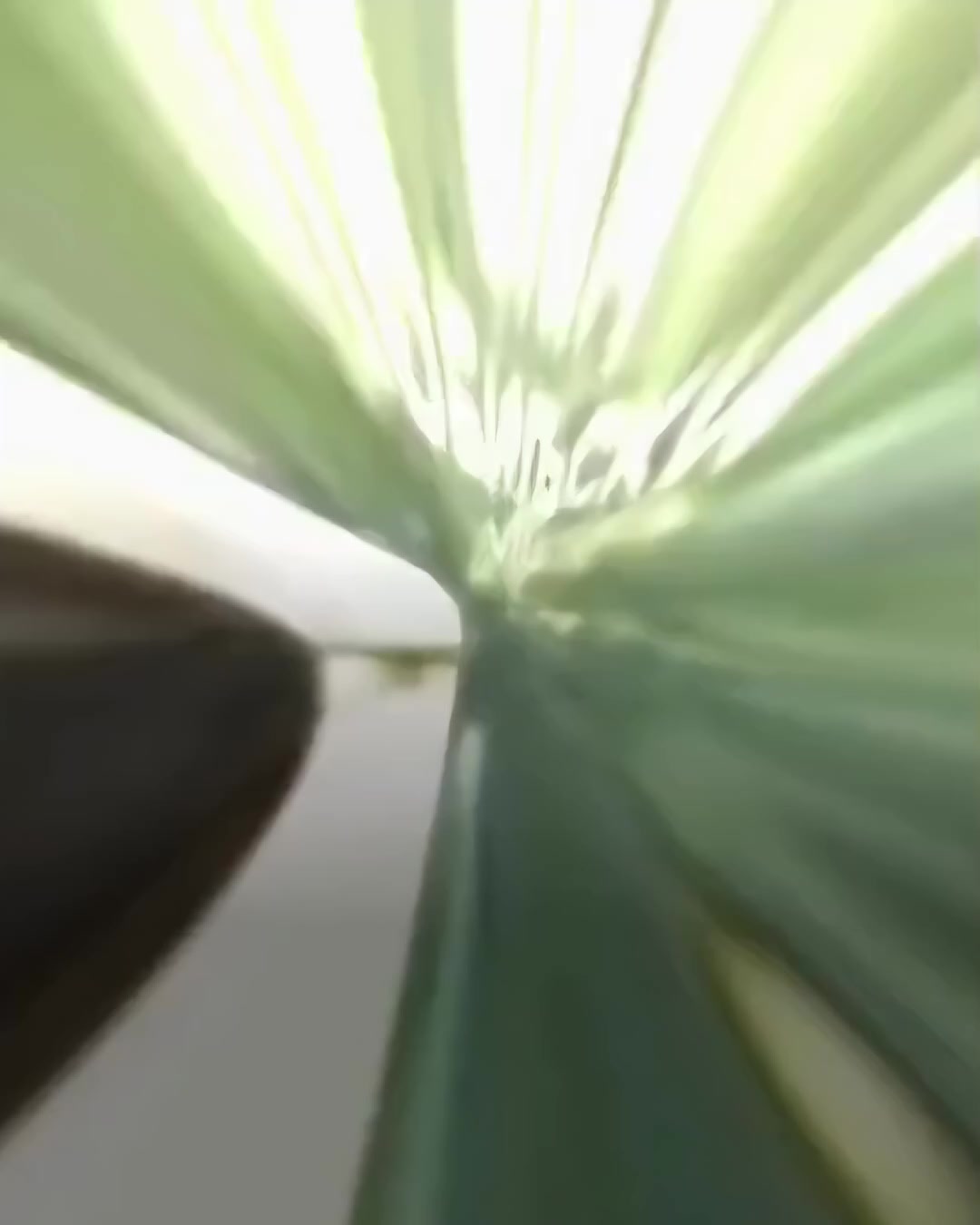 @𝓙ℴ𝓱𝓃