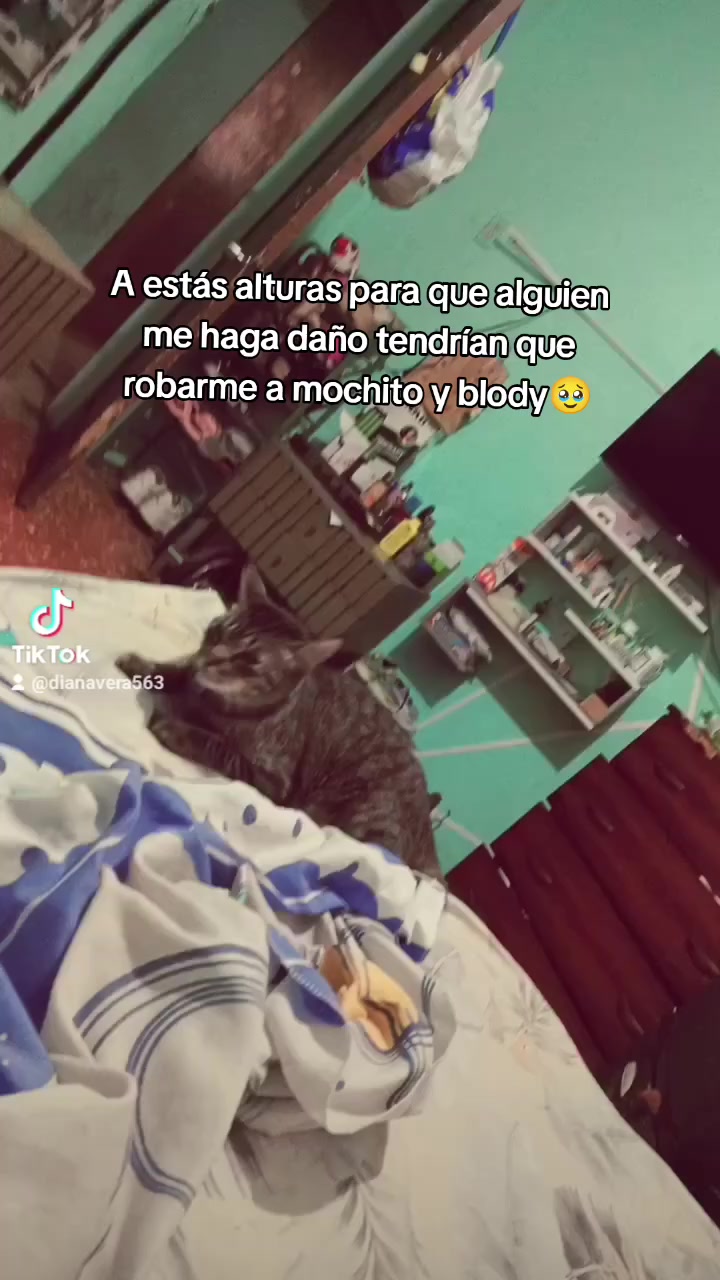 @Diana Vera