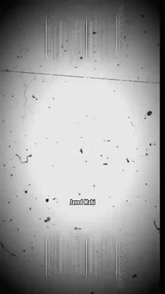 @طارق شبو