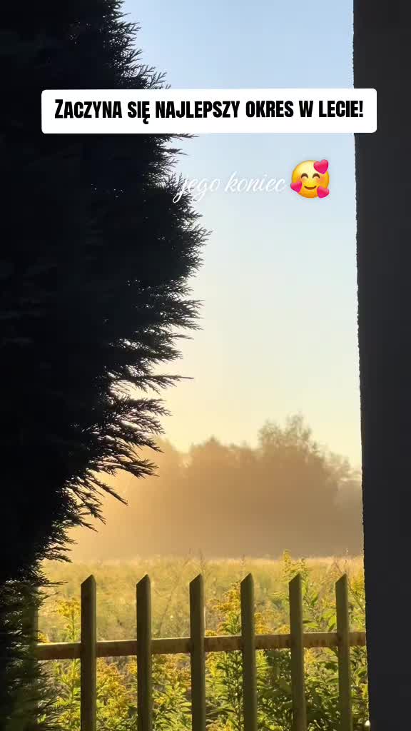 @IG: sansegrafie 🍁☔️🏙️