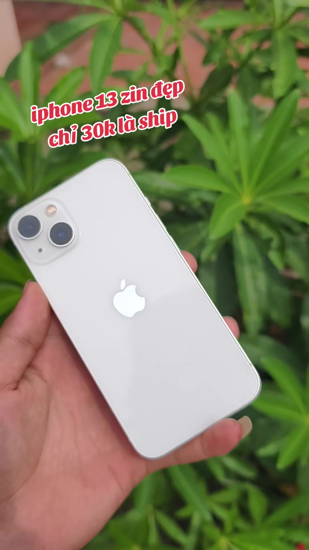 @heo ăn roi😊