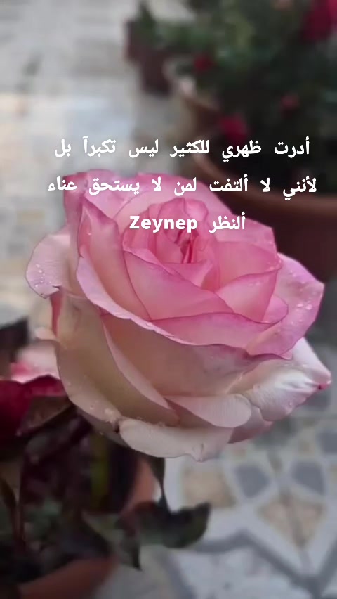 @Zeynep