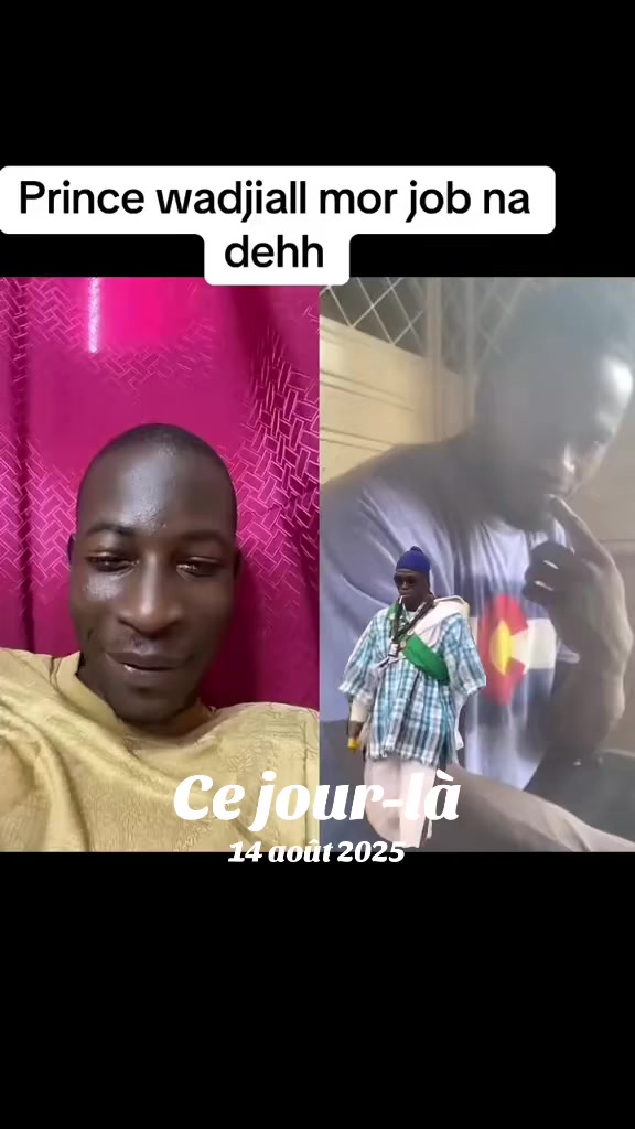 @mcdtv15