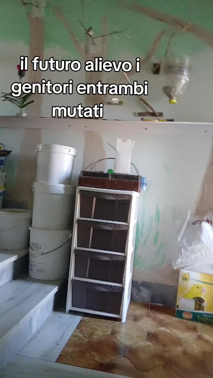 @Leonardo Dellacorte