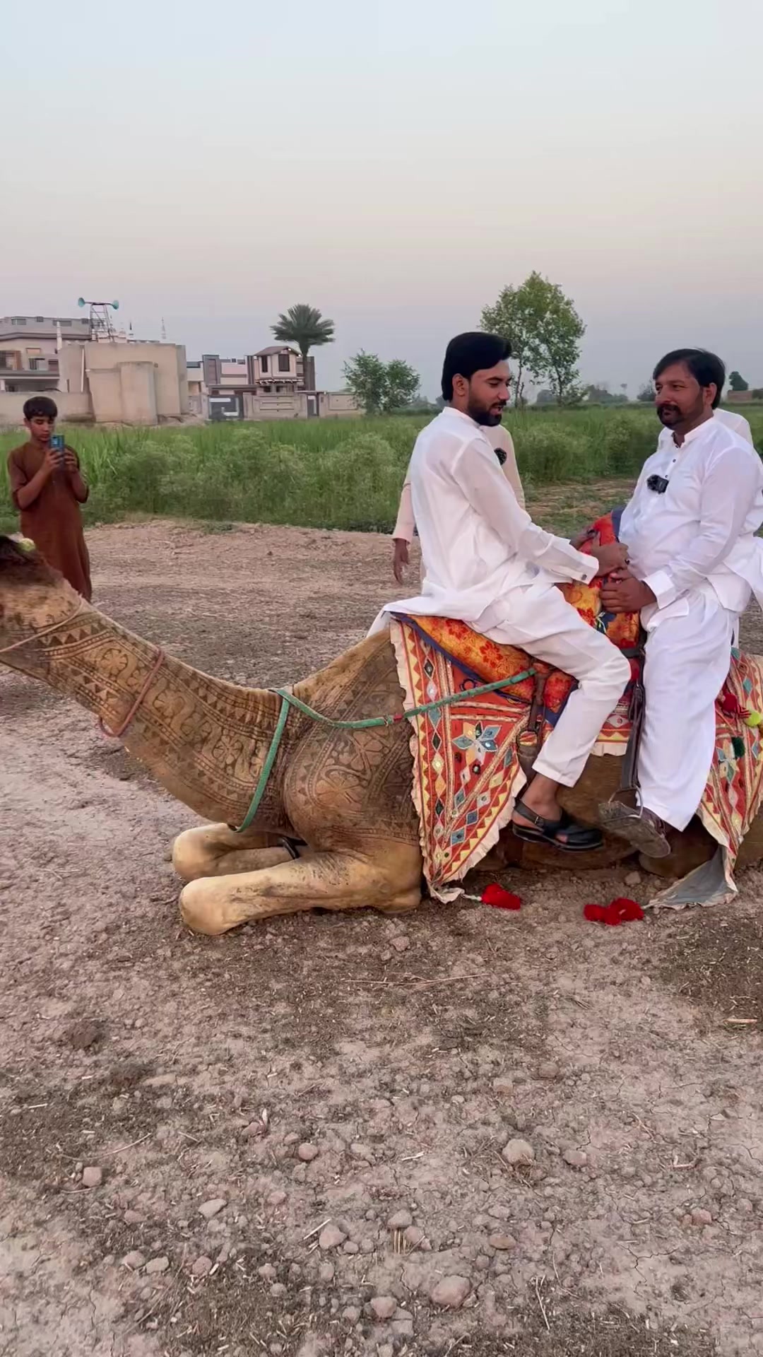 @Shahbaz Madni