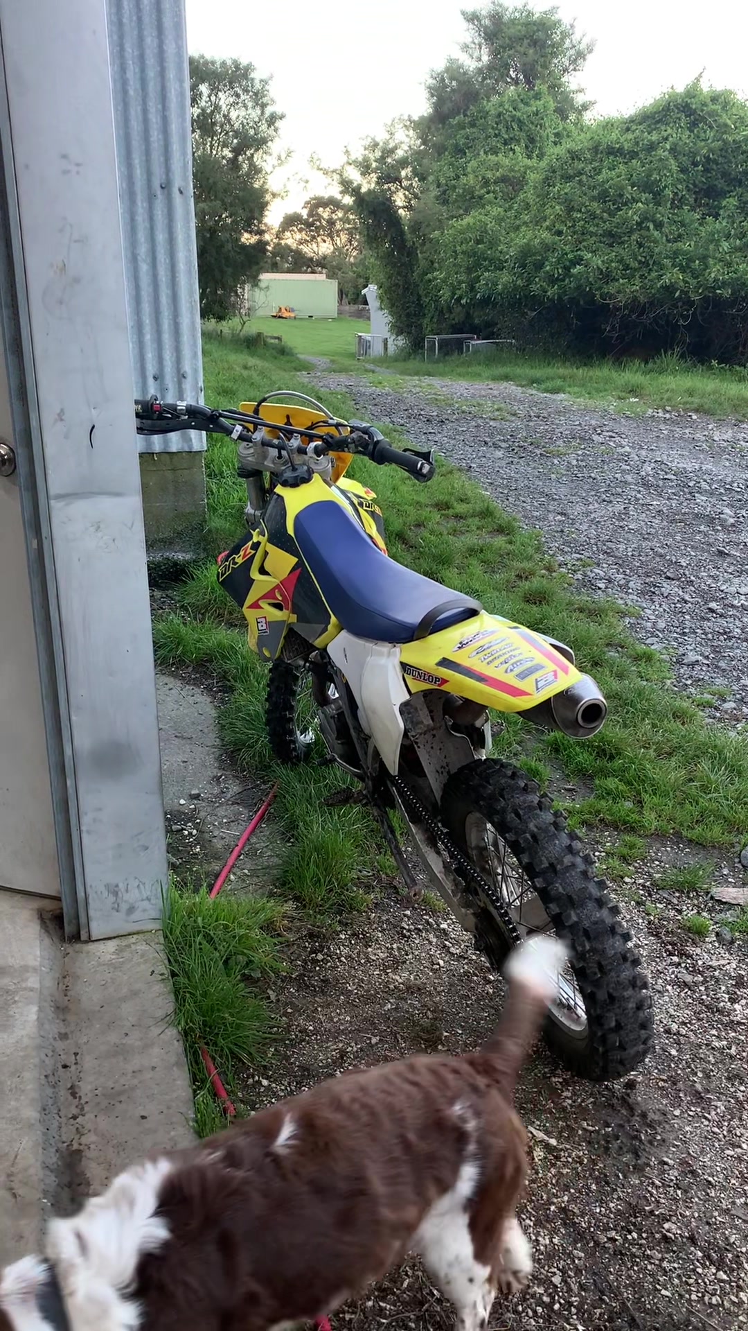 @DRZ Toby🫠