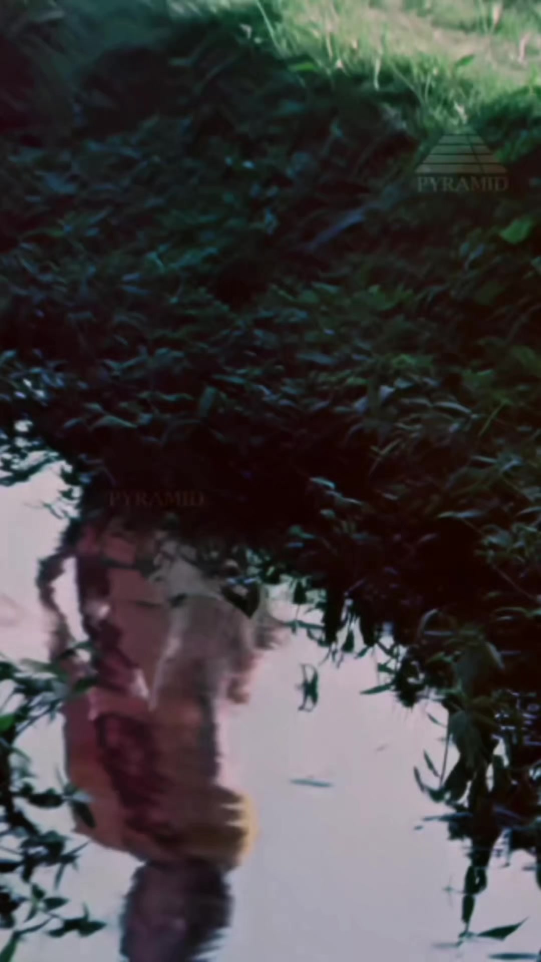 @𝕾.𝕸.𝕽𝖆𝖏𝖆..🎶