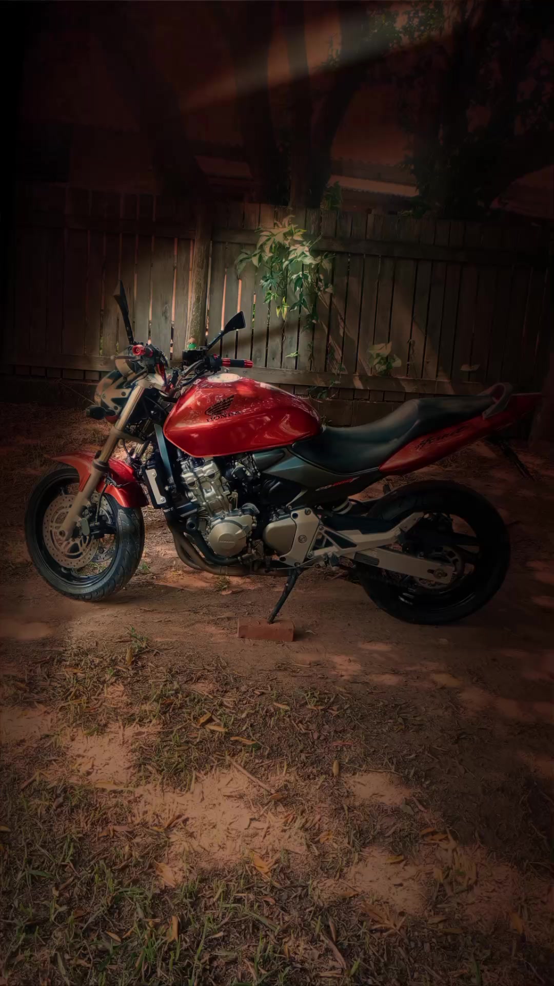 @adrianoGuedes750