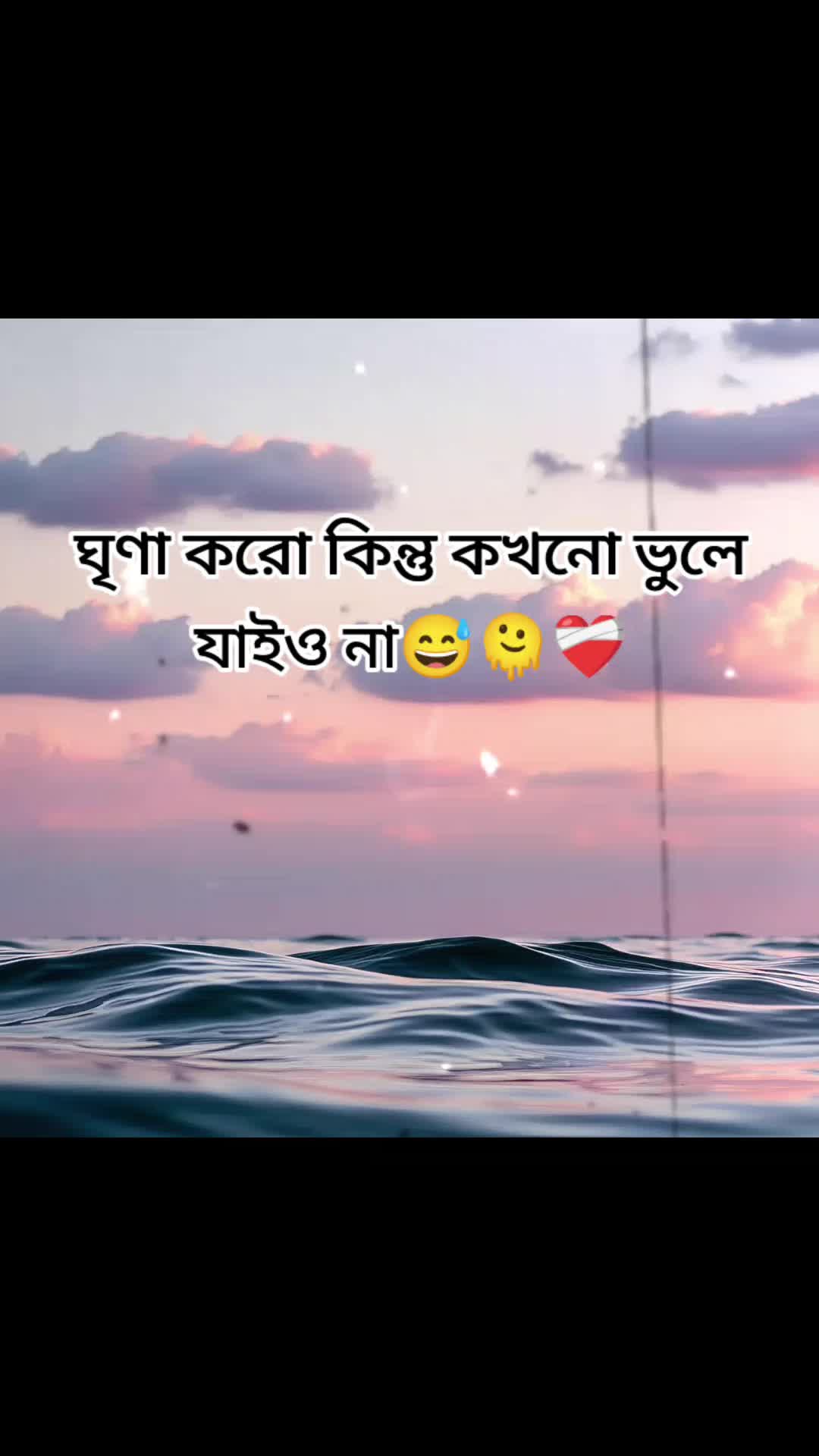 @MoonđĢ đ¸