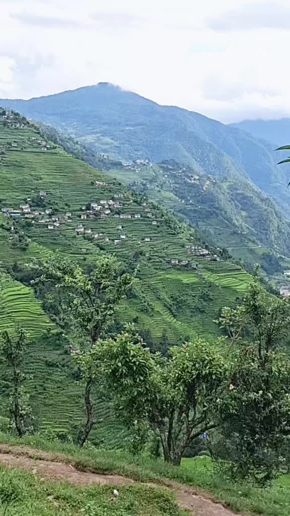 @Min bdr bohara