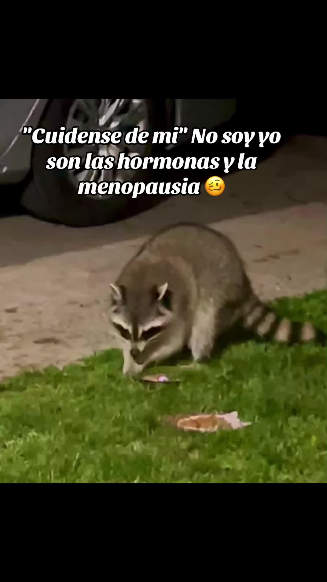 @BELLA HERNANDEZ