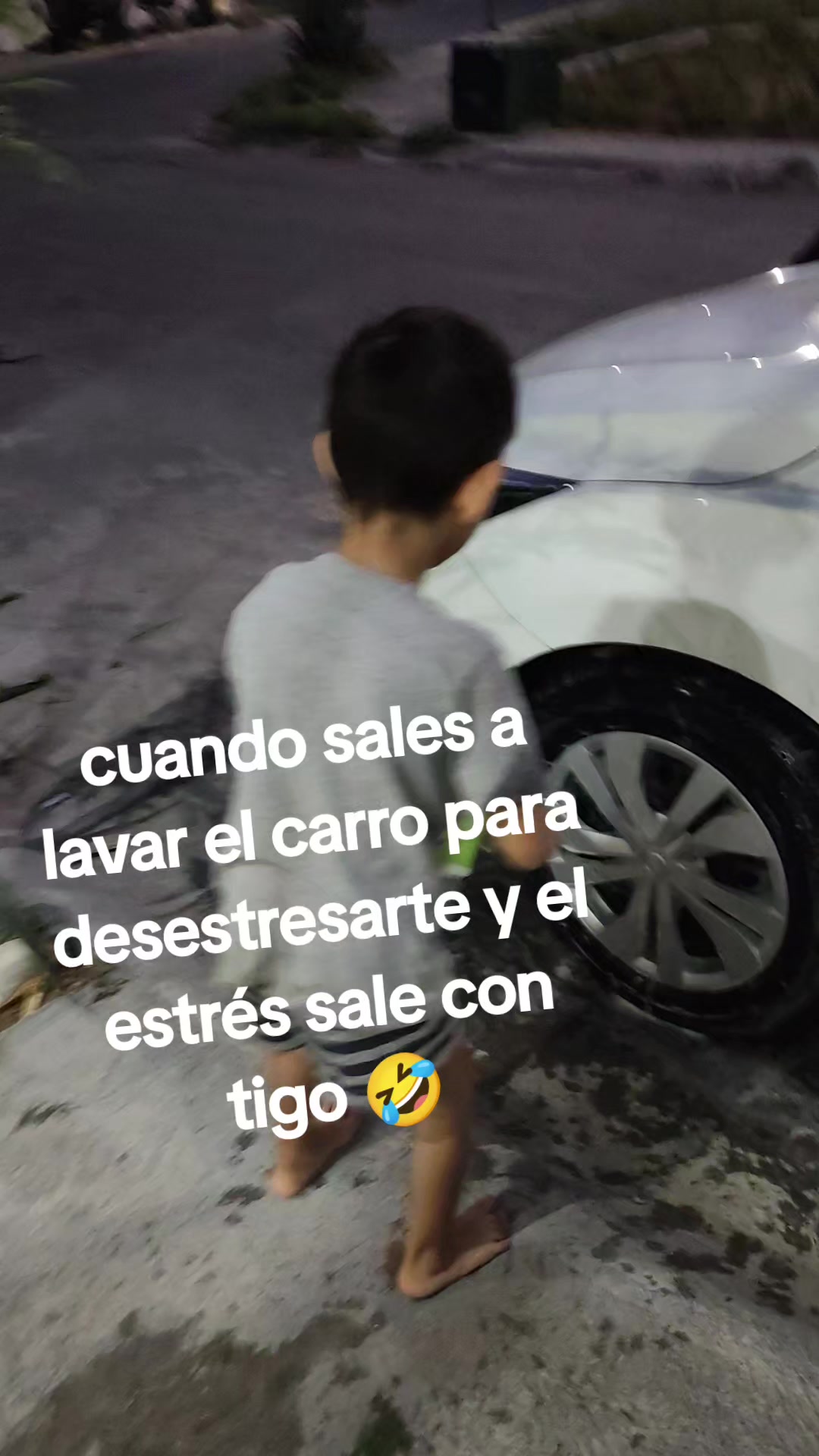 @Luz Maldonado