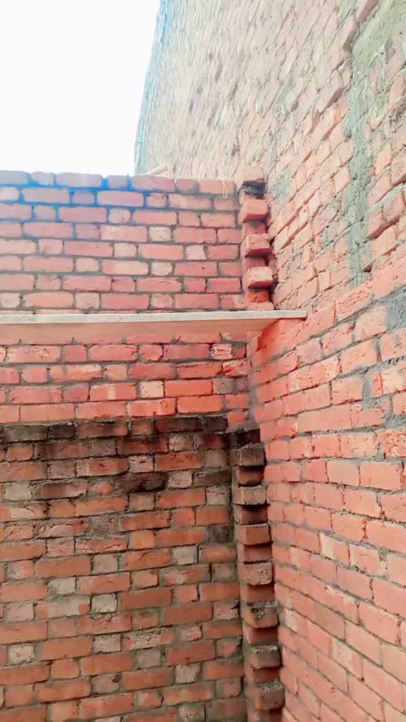 @MD.Shahbaz live